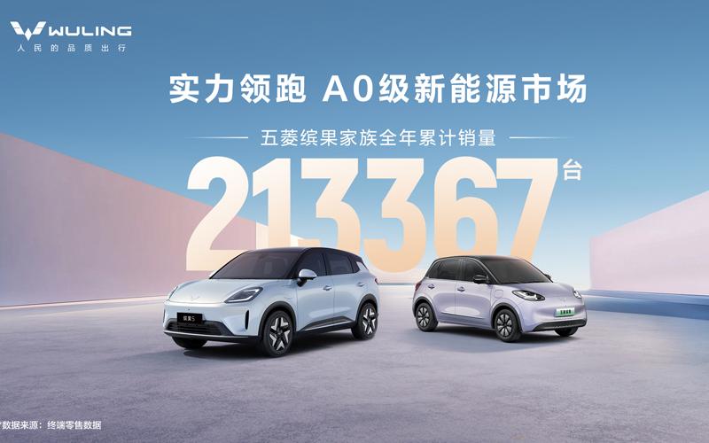 以“缤纷”作答，回应60万份热爱！缤果家族2025全年热销213367辆