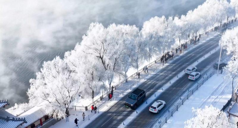 魏建军对话90后猛龙车主情侣，Hi4技术为冰雪出行保驾护